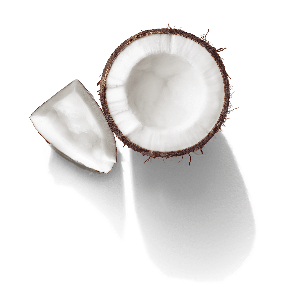 Coconut Water Powder